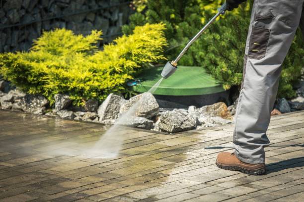 Best Driveway Pressure Washing  in Ava, MO